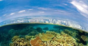 UNESCO Ocean acidification