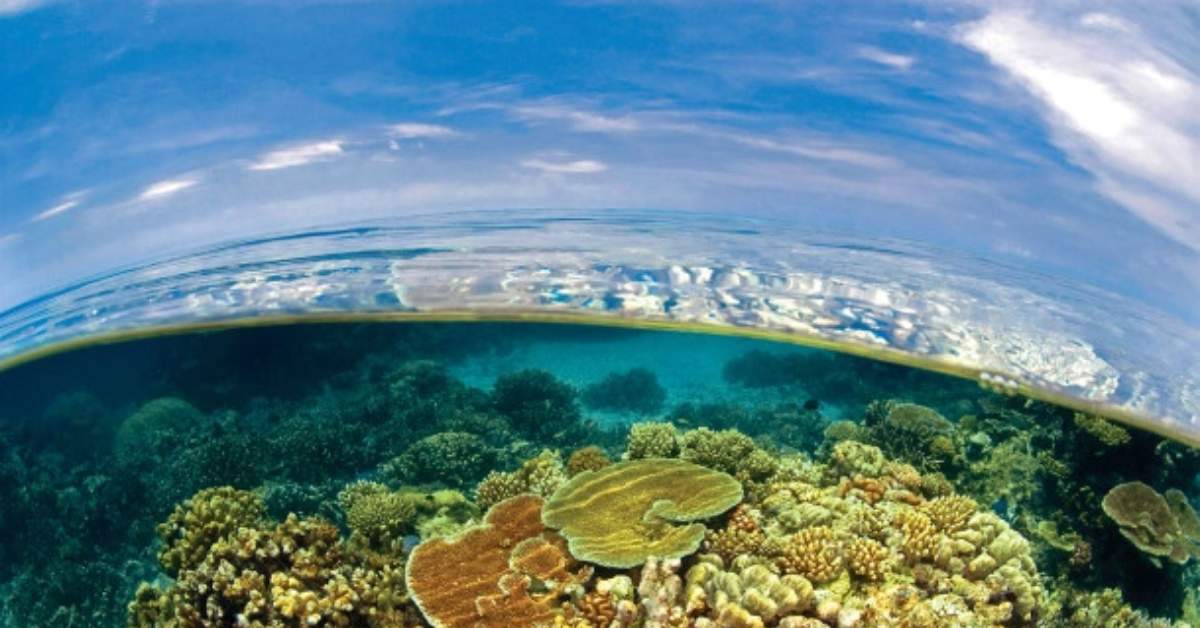 UNESCO Ocean acidification