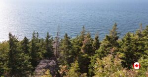 Gulf of St Lawrence