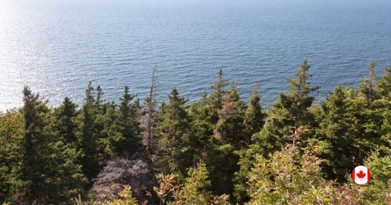 Gulf of St Lawrence